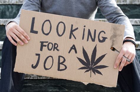 Sign in. . Indeed cannabis jobs